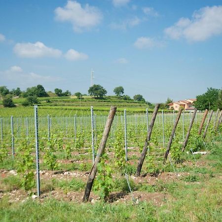 Agriturismo Albarello Sona Εξωτερικό φωτογραφία