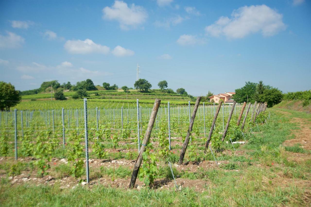 Agriturismo Albarello Sona Εξωτερικό φωτογραφία