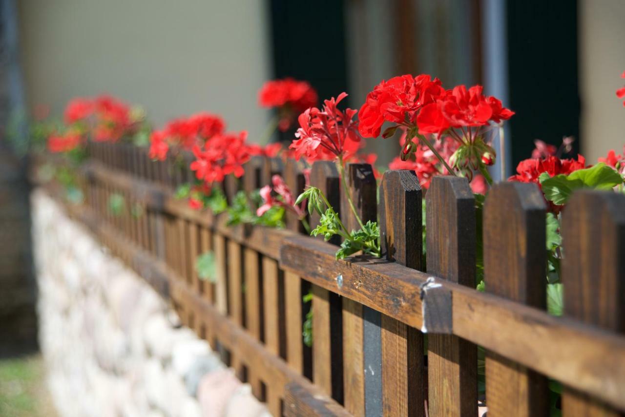 Agriturismo Albarello Sona Εξωτερικό φωτογραφία