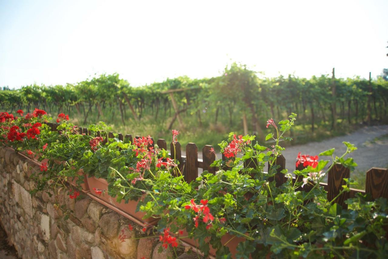 Agriturismo Albarello Sona Εξωτερικό φωτογραφία