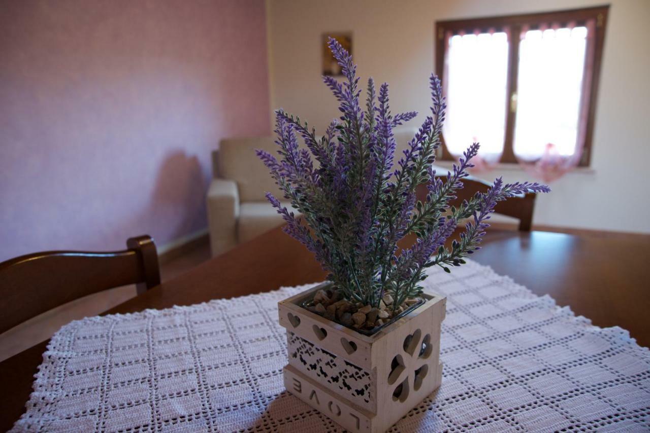 Agriturismo Albarello Sona Εξωτερικό φωτογραφία